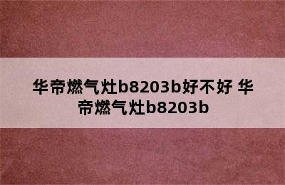 华帝燃气灶b8203b好不好 华帝燃气灶b8203b